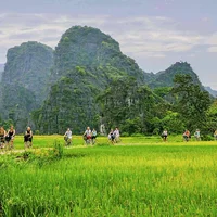 Du lịch Hạ Long