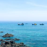  Du lịch đảo Lý Sơn