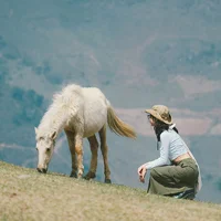 Du lịch Tà Xùa