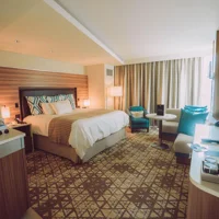 The Guitar Hotel