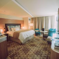 The Guitar Hotel
