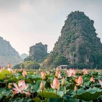 Phát hiện thêm một 