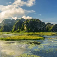 Phát hiện thêm một 