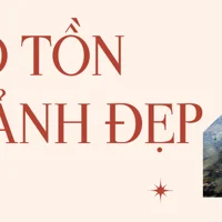 Phát hiện thêm một 