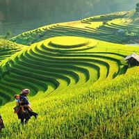 Du lịch Côn Đảo