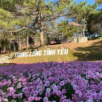 Du lịch Đà Lạt