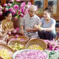 Trà sen Tây Hồ