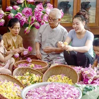 Trà sen Tây Hồ