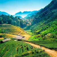 Du lịch Thái Lan