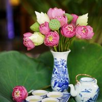 Trà sen Tây Hồ