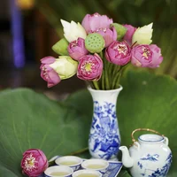 Trà sen Tây Hồ