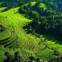 Du lịch Hoàng Su Phì 