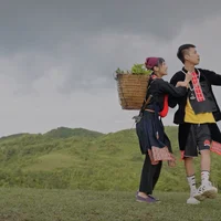 Phim Đi giữa trời rực rỡ