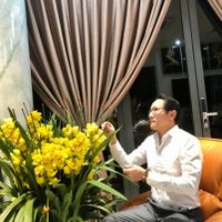 Bố chải là ai