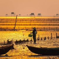 Biển đồng châu thái bình