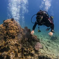 Lặn biển Nha Trang