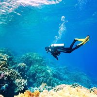Lặn biển Nha Trang