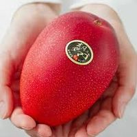 8 loại quả đắt nhất thế giới, có loại quả có mức giá bằng một nửa căn nhà