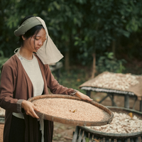 Phim kinh dị Cám