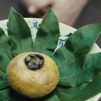 Phim kinh dị Cám