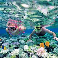 Lặn biển Nha Trang