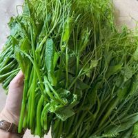 Rau muống xào tỏi