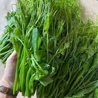 Rau muống xào tỏi