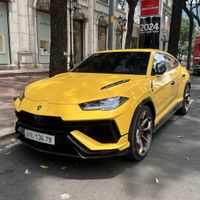 Vợ chồng Đoàn Di Băng