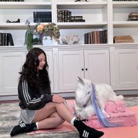 Giày thể thao adidas