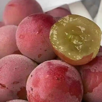 Ruby Roman Nhật Bản loại nho đắt nhất thế giới