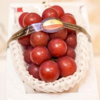 Ruby Roman Nhật Bản loại nho đắt nhất thế giới