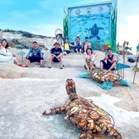 Khám phá Cù lao Câu