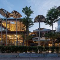 Thiết kế biophilic – kiến tạo phong cách sống wellness