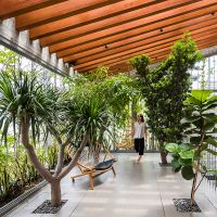 Thiết kế biophilic là gì
