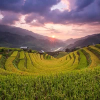 Du lịch Đà Lạt