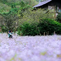 Du lịch Đà Lạt