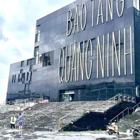 Du lịch Hạ Long 