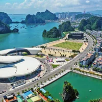 Du lịch Hạ Long 