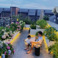 Căn hộ penthouse