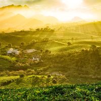Địa phương Việt Nam từng được vinh danh "hàng đầu thế giới", được ví như viên ngọc xanh, mùa nào cũng đẹp