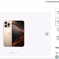 iPhone 16 Pro Max 
