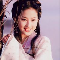 Lưu Diệc Phi là ai