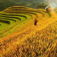 Du lịch Mù Cang Chải