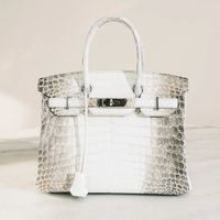 Túi Hermes bạch tạng đắt giá ra sao mà ai cũng khao khát sở hữu?