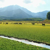 Du lịch Đà Nẵng