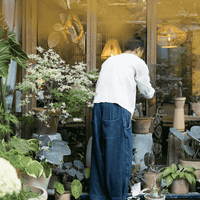 Sống xanh với nhà mát tự nhiên