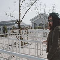 Du lịch Việt Nam