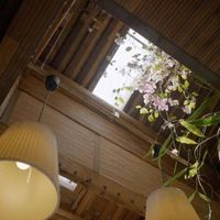 Sống xanh với nhà mát tự nhiên