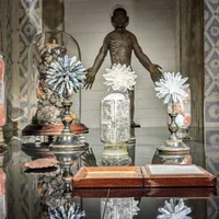 Triển lãm Cabinet of Wonders: Những kỳ quan trong chiếc tủ của nhà sưu tầm