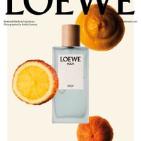Nước hoa LOEWE